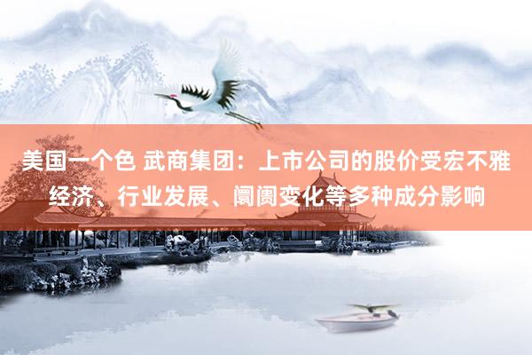 美国一个色 武商集团：上市公司的股价受宏不雅经济、行业发展、阛阓变化等多种成分影响