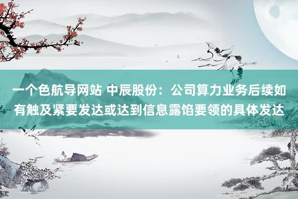 一个色航导网站 中辰股份：公司算力业务后续如有触及紧要发达或达到信息露馅要领的具体发达