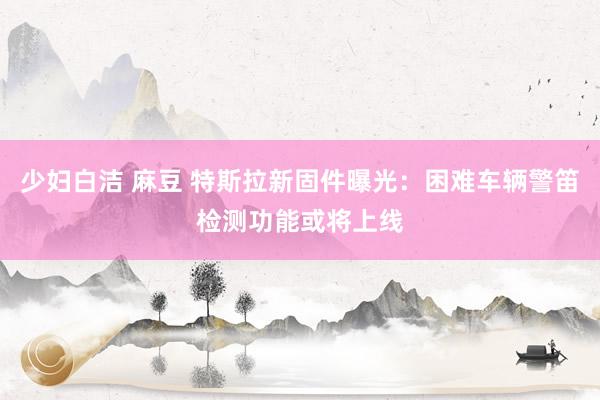 少妇白洁 麻豆 特斯拉新固件曝光：困难车辆警笛检测功能或将上线