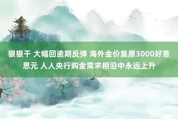 狠狠干 大幅回逾期反弹 海外金价复原3000好意思元 人人央行购金需求相沿中永远上升