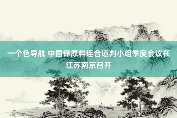 一个色导航 中国锌原料连合道判小组季度会议在江苏南京召开