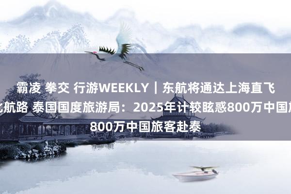 霸凌 拳交 行游WEEKLY｜东航将通达上海直飞阿布扎比航路 泰国国度旅游局：2025年计较眩惑800万中国旅客赴泰