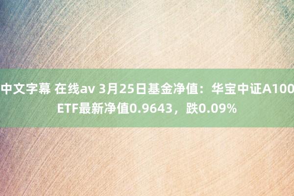 中文字幕 在线av 3月25日基金净值：华宝中证A100ETF最新净值0.9643，跌0.09%