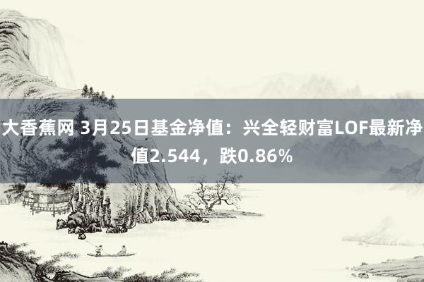 大香蕉网 3月25日基金净值：兴全轻财富LOF最新净值2.544，跌0.86%
