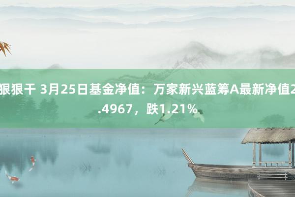 狠狠干 3月25日基金净值：万家新兴蓝筹A最新净值2.4967，跌1.21%
