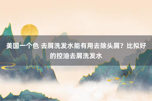 美国一个色 去屑洗发水能有用去除头屑？比拟好的控油去屑洗发水
