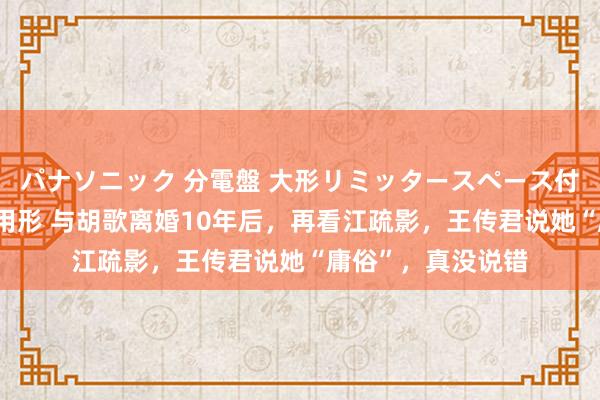 パナソニック 分電盤 大形リミッタースペース付 露出・半埋込両用形 与胡歌离婚10年后，再看江疏影，王传君说她“庸俗”，真没说错