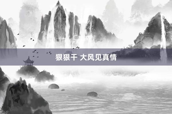 狠狠干 大风见真情