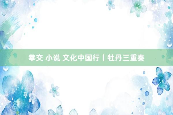 拳交 小说 文化中国行丨牡丹三重奏