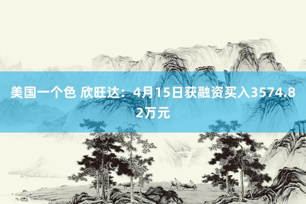 美国一个色 欣旺达：4月15日获融资买入3574.82万元
