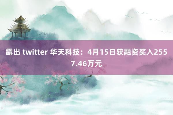 露出 twitter 华天科技：4月15日获融资买入2557.46万元