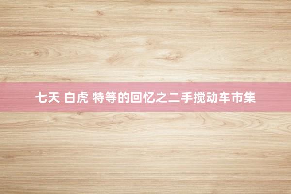 七天 白虎 特等的回忆之二手搅动车市集