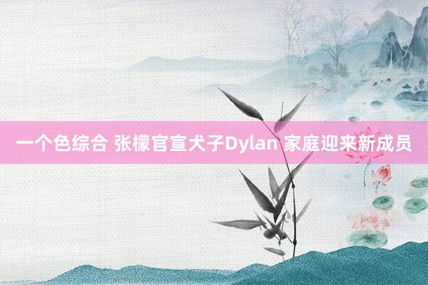 一个色综合 张檬官宣犬子Dylan 家庭迎来新成员
