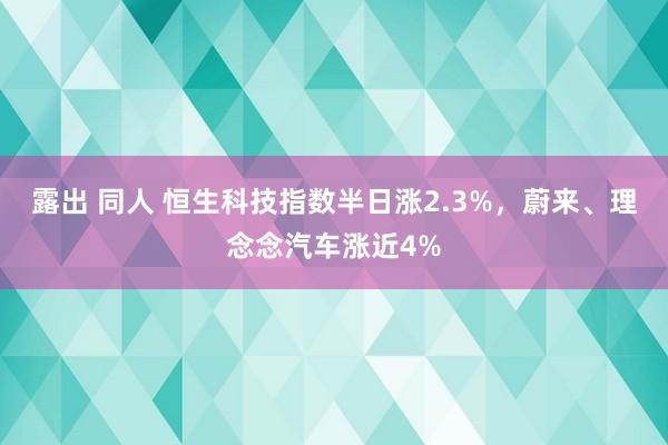 露出 同人 恒生科技指数半日涨2.3%，蔚来、理念念汽车涨近4%