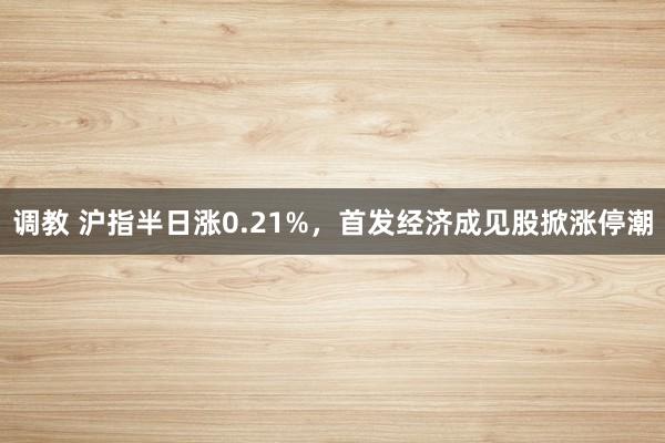调教 沪指半日涨0.21%，首发经济成见股掀涨停潮
