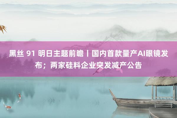 黑丝 91 明日主题前瞻丨国内首款量产AI眼镜发布；两家硅料企业突发减产公告