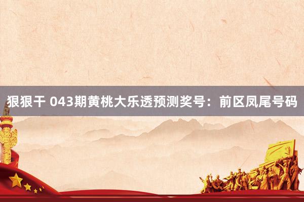 狠狠干 043期黄桃大乐透预测奖号：前区凤尾号码