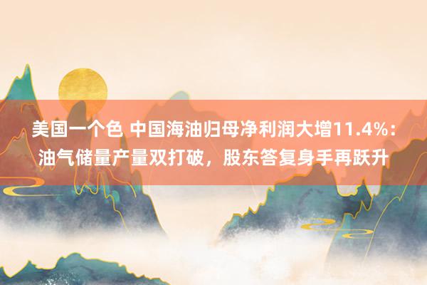 美国一个色 中国海油归母净利润大增11.4%：油气储量产量双打破，股东答复身手再跃升