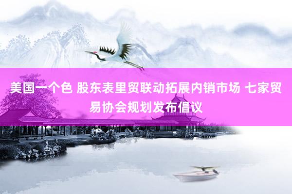 美国一个色 股东表里贸联动拓展内销市场 七家贸易协会规划发布倡议