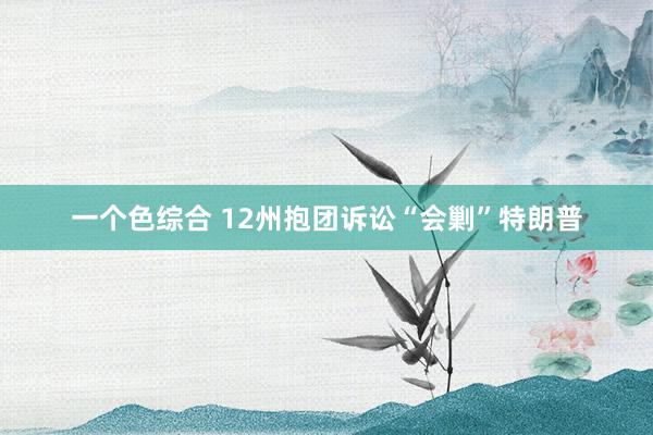 一个色综合 12州抱团诉讼“会剿”特朗普