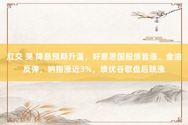 肛交 哭 降息预期升温，好意思国股债皆涨、金油反弹，纳指涨近3%，绩优谷歌盘后跳涨